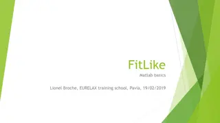 Matlab Basics and Advanced Techniques for Efficient Programming
