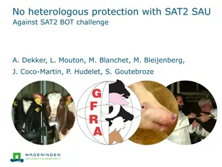 Heterologous Protection Study Against SAT2 BOT Challenge