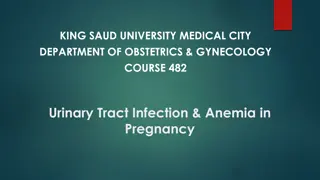 Urinary Tract Infections and Anemia in Pregnancy: Comprehensive Overview