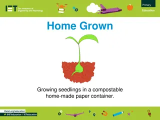 DIY Guide for Growing Seedlings in Compostable Paper Containers