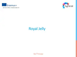 Therapeutic Properties of Royal Jelly ApiTherapy