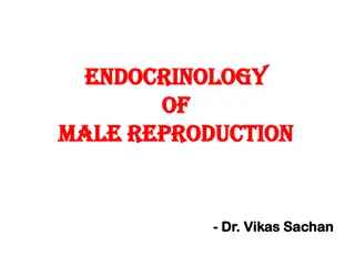 Male Reproductive Endocrinology