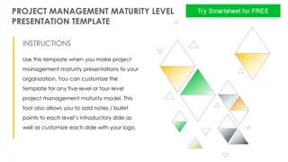 Project Management Maturity Level Presentation Template