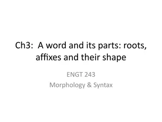 Morphology: Roots, Affixes, and Word Structure in Linguistics
