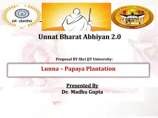 Lunna Papaya Plantation Proposal by JJT University
