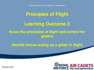 Principles of Glider Flight and Control: Understanding Forces and Aerodynamics