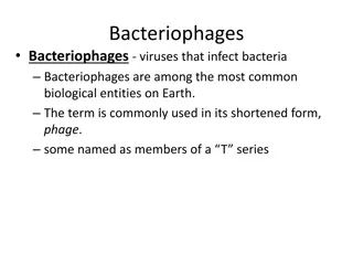 Bacteriophages: Viruses that Infect Bacteria
