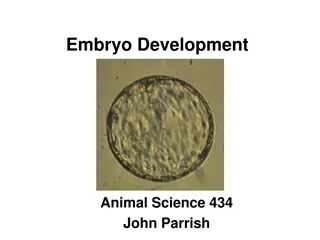 Embryo Development and Fertilization in Animal Science