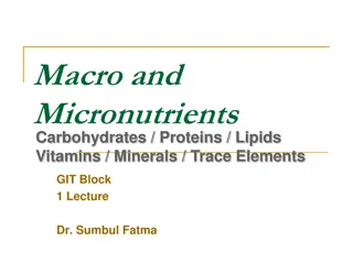 Macronutrients and Micronutrients in Nutrition