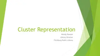 Library Clusters and Responsibilities of Cluster Representatives