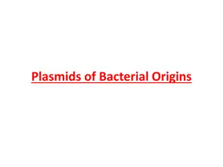 Plasmid Vectors and Recombinant DNA Technology