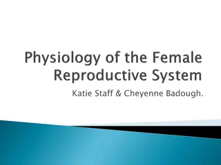 Female Reproductive System: Anatomy and Function