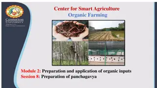 Preparation and Application of Panchagavya for Organic Farming