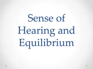 Anatomy of the Ear