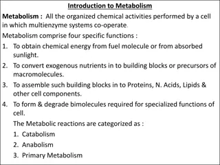 Cellular Metabolism: Catabolism, Anabolism, and More