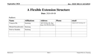 IEEE 802.11-24 Flexible Extension Structure Proposal
