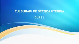 Uterine Static Disorders and Deviations