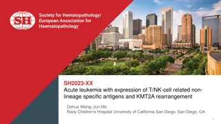 Acute Leukemia with T/NK-Cell Antigen Expression and KMT2A Rearrangement - Case Study by Dehua Wang & Jun Mo