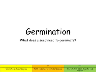 Seed Germination and Dispersal in Plants