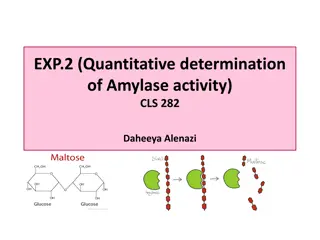 Amylase Activity Quantification Experiment