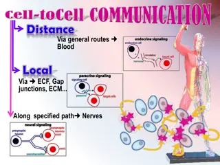 Cellular Communication: Routes, Chemicals, and Functions Explored