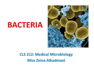 Exploring the Fascinating World of Bacteria in Medical Microbiology