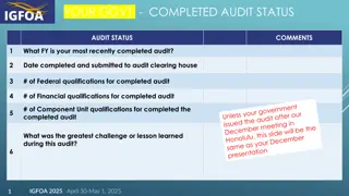 Government Audit Status Reports and Performance Measures