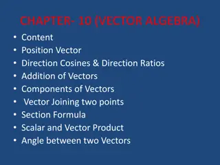 Vector Algebra Essentials