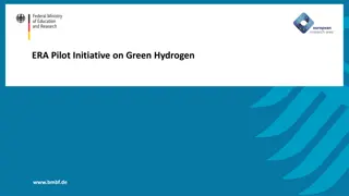 Green Hydrogen Initiative in Europe: Agenda, Target Groups, and Outlook