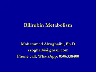 Bilirubin Metabolism and Porphyrin Structure