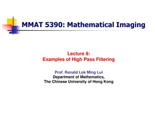 Advanced Image Filtering Techniques in Mathematical Imaging