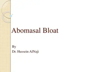 Abomasal Bloat in Calves: Causes, Clinical Signs, and Treatment
