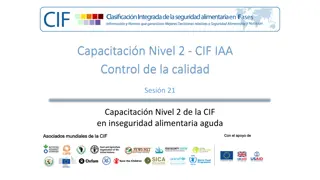 Quality Control Strategies for CIF Implementation