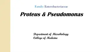 Overview of Proteus Bacteria: Characteristics, Diagnosis, and Serology