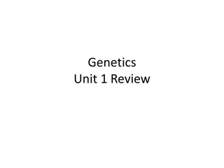 Genetics Dominance Patterns and Crosses Revealed
