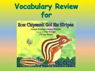 Vocabulary Review Challenge: Test Your Word Knowledge