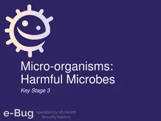 Harmful Microbes and Infectious Diseases