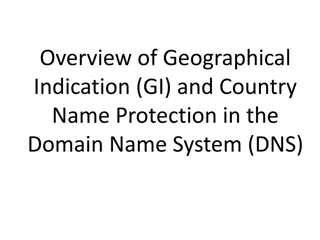 Geographical Indication and Country Name Protection in DNS