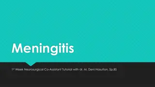 Meningitis: Causes, Symptoms, and Treatment