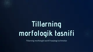Morphological Classification of Languages: Agglutinative vs. Flektiv