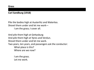 Reflections on the Impact of War Through 'Grass' by Carl Sandburg