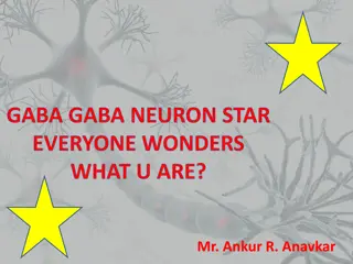 Unveiling the Mysteries of GABA Neurons and Their Role in Saving Lives