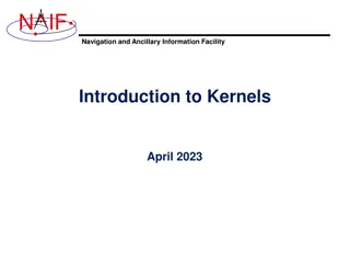Understanding Adrenal Androgens and Their Role in Health