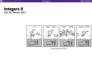 Binary Integer Representations in Computer Systems