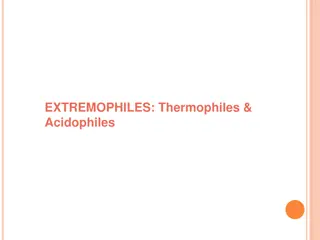 Extremophiles: Organisms Thriving in Extreme Environments