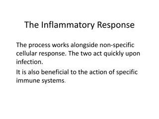 The Inflammatory Response Process