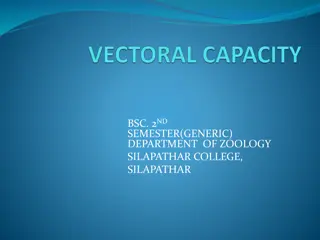 Explore BSC 2nd Semester Zoology at Silapathar College