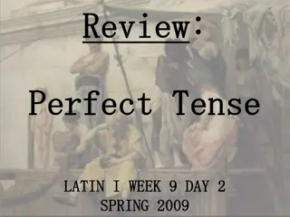 Learn Perfect Tense in Latin: Understanding Verb Principles
