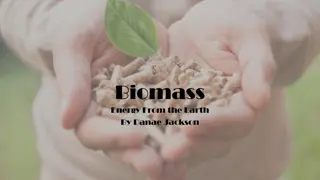 Biomass Energy: Benefits, Challenges, and Applications