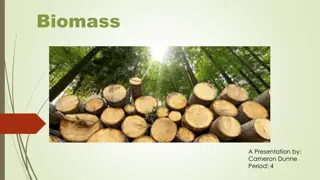 Biomass Energy and Biofuel Relationship